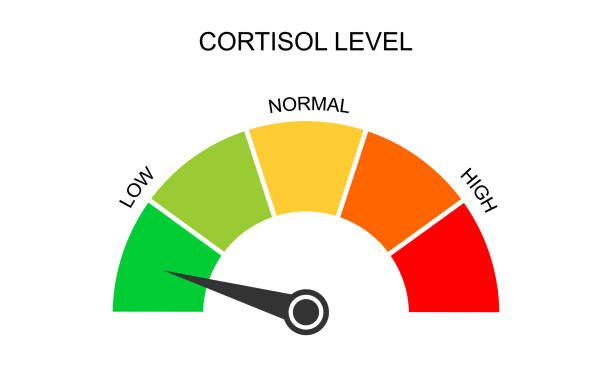 Cortisol level gauge illustration pointing to low